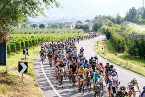 Dolomiten_Radrundfahrt_2016_Weinstraße