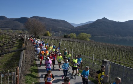 Kalterer_See_Halbmarathon_Mezza_Maratona_Lago_di_Caldaro