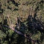 ©wisthaler.com_21_08_SUSR_DJI_0741